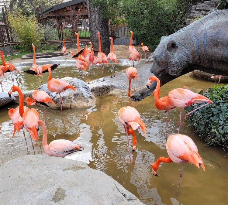 Charles Paddock Zoo (Atascadero,&nbspCA)